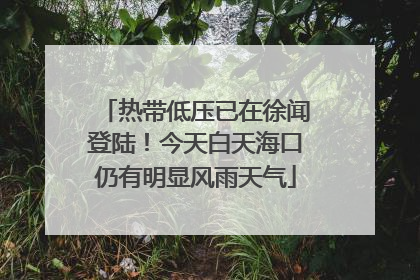热带低压已在徐闻登陆！今天白天海口仍有明显风雨天气
